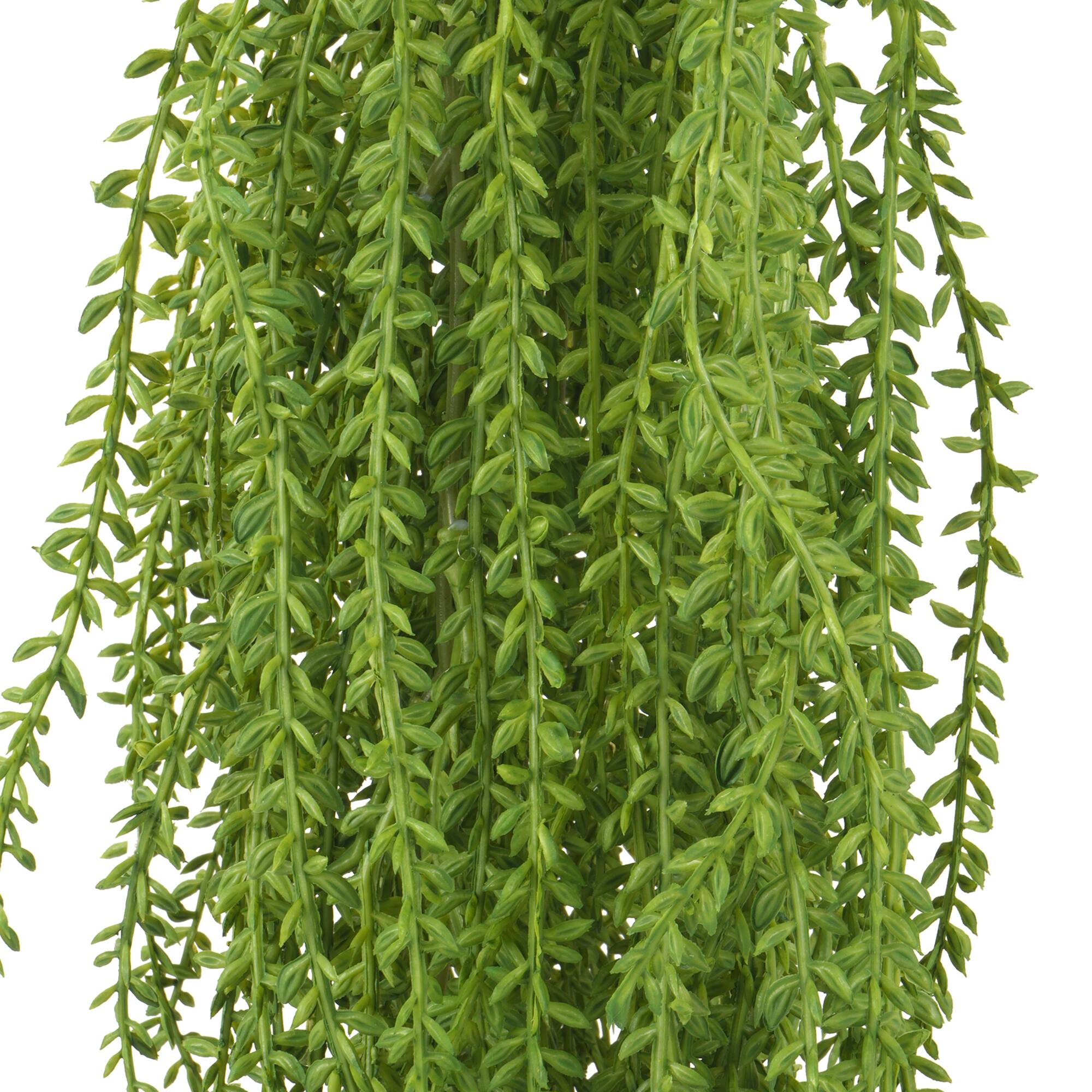 31" Weeping Willow Bush by Ashland®
